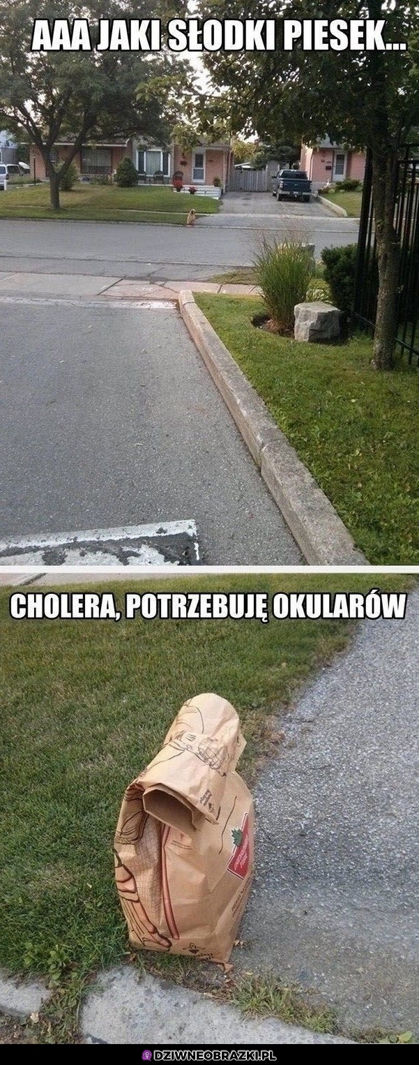 Słodki piese... och