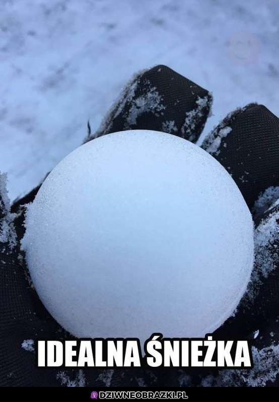 Niedługo sezon