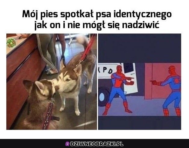 Takie spotkanie