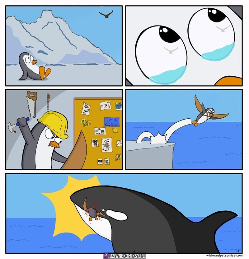 Wielkie marzenie małego pingwina