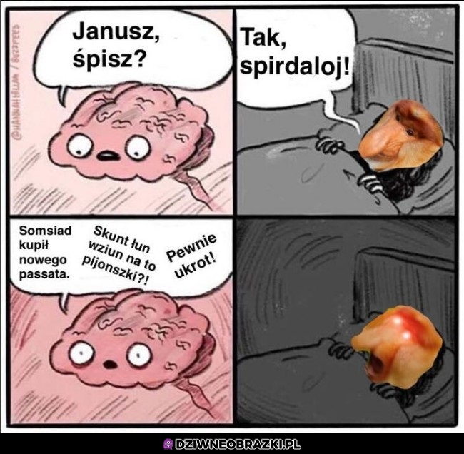 Kiedy Janusz próbuje spać, ale...