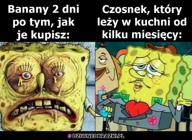 Niezniszczalny