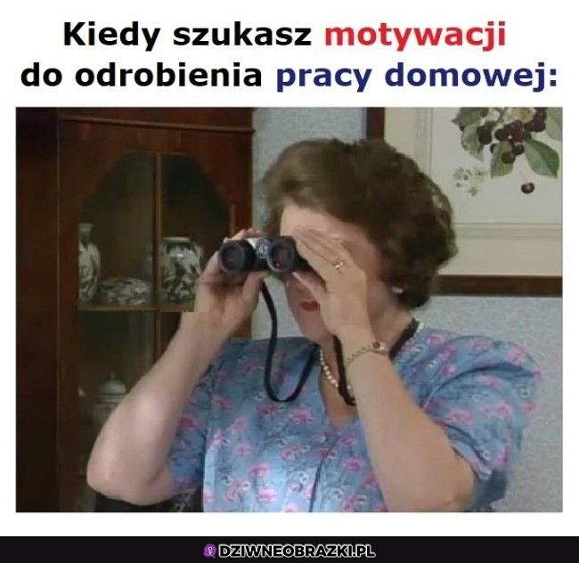 Poszukiwania
