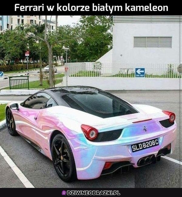 Ładniutkie