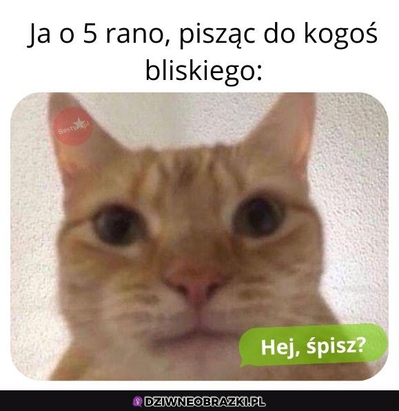 Ja rano