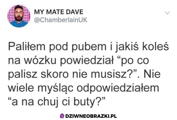 Nie mam pytań