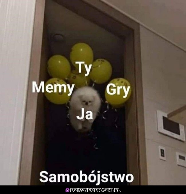 Tak to widzę