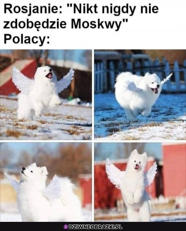 To patrzcie