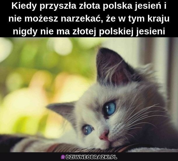 No nie da się w tym roku