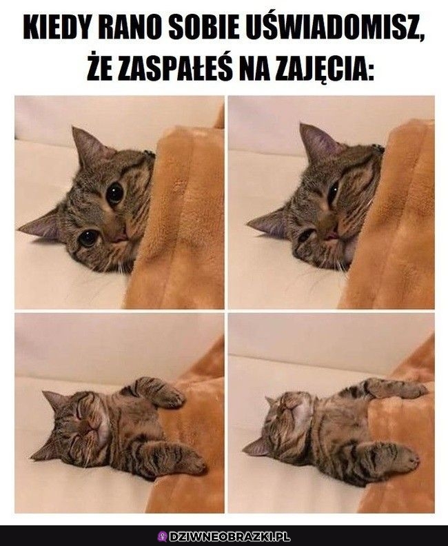 Oj tam oj tam