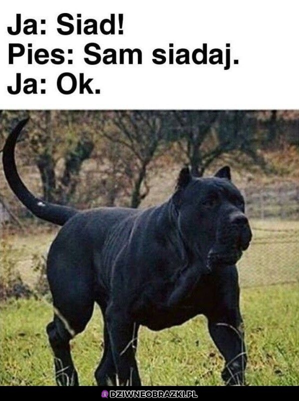 Siad