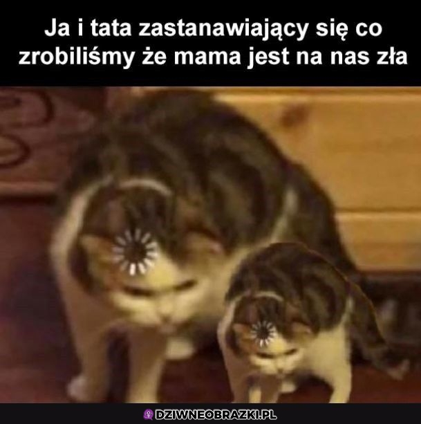 Za każdym razem