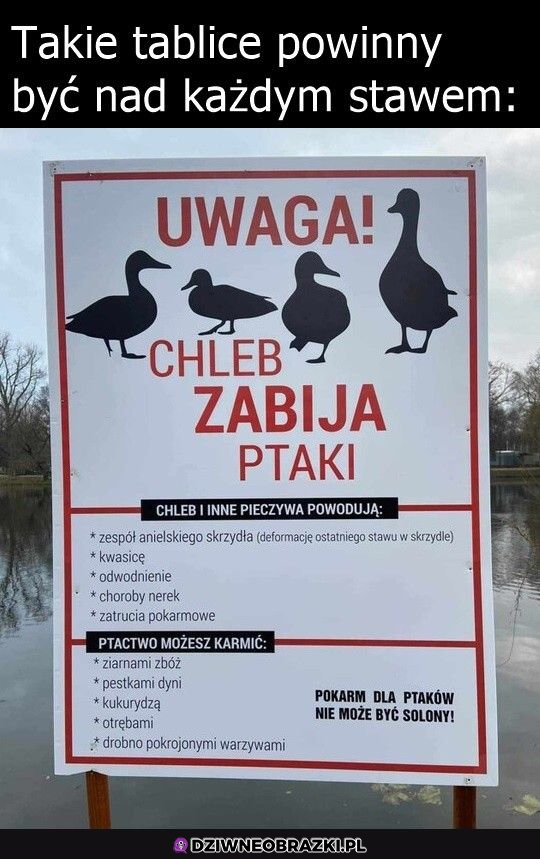 pamiętajcie o tym!