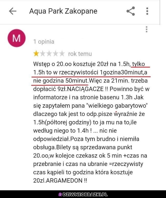 Recenzja, w której czuć cebulą na kilometr