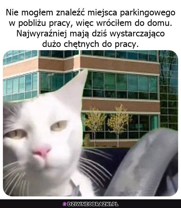 Kiedy starałeś się dać z siebie wszystko