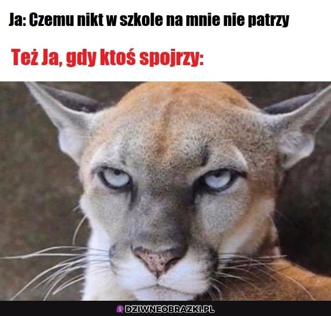Ten moment