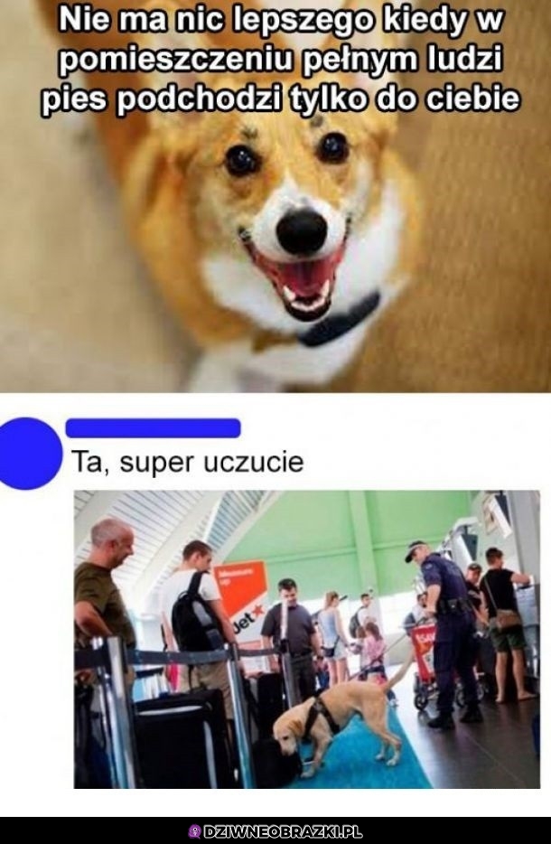 Super moment wybrał