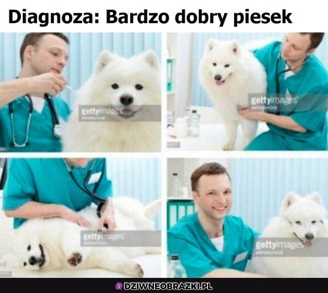 Najlepsza diagnoza Najlepsza diagnoza