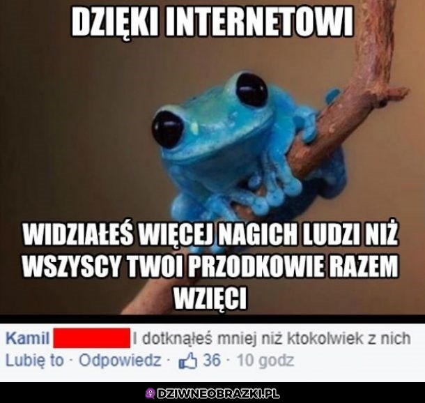 Dzięki internetowi