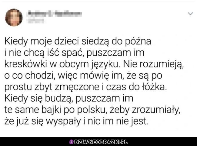 Świetny pomysł