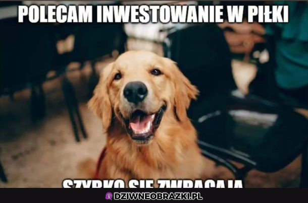 Inwestycja