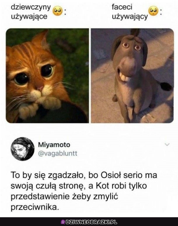 Wszystko się zgadza