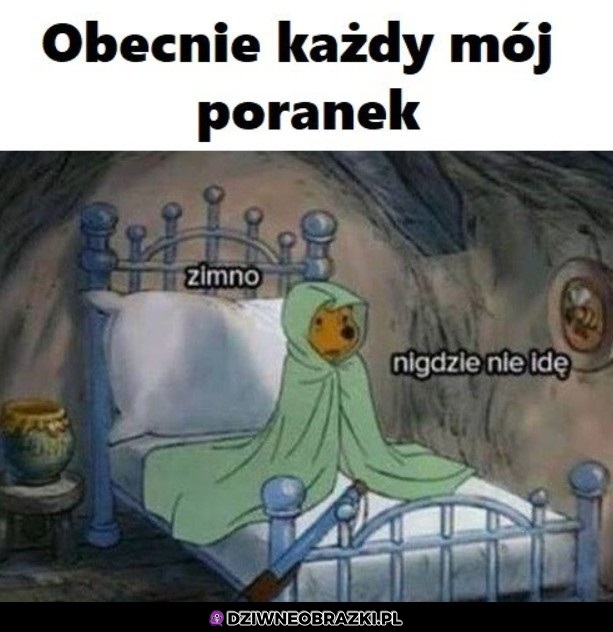Poranki