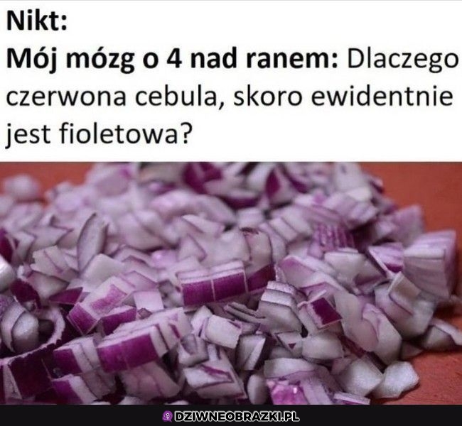 Właśnie