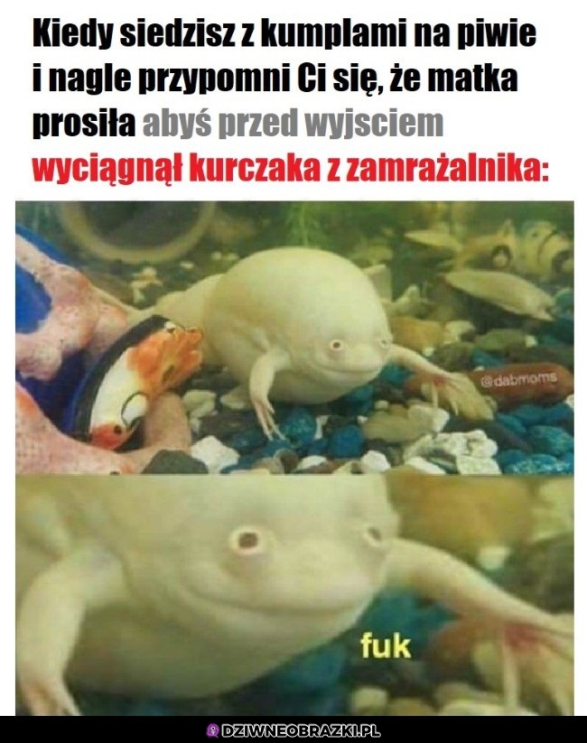 Fuk