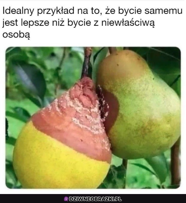 Ładnie zobrazowane