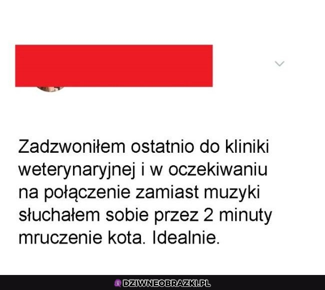 Idealne oczekiwanie