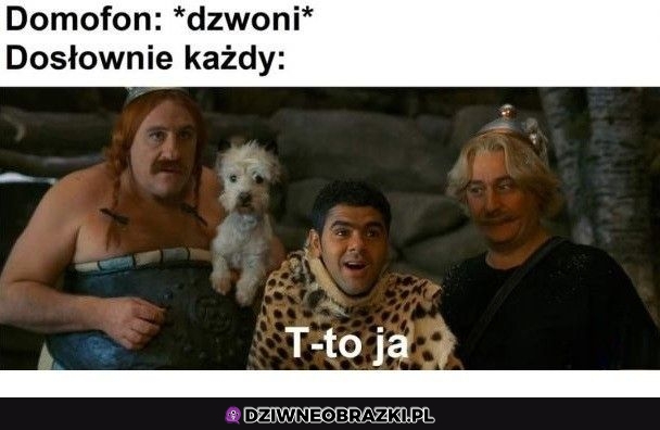 Kiedy dzowni domofon