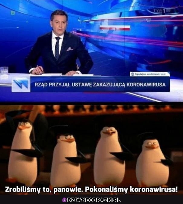 Spoczko, mamy to ogarnięte