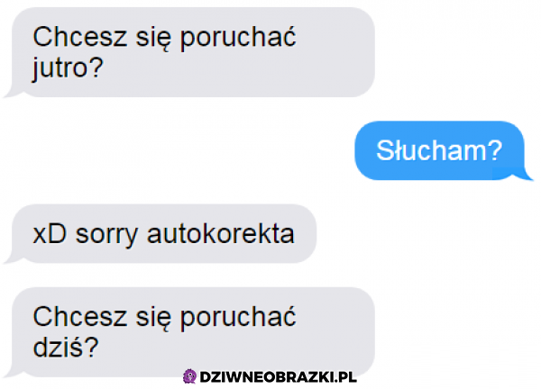 Korekta