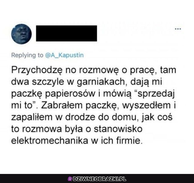 Rozmowa o pracę