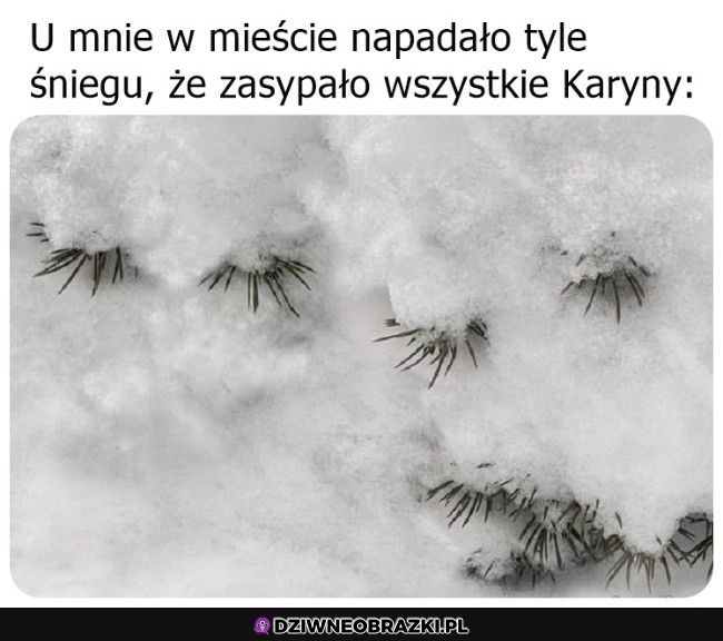 karyny vs śnieg