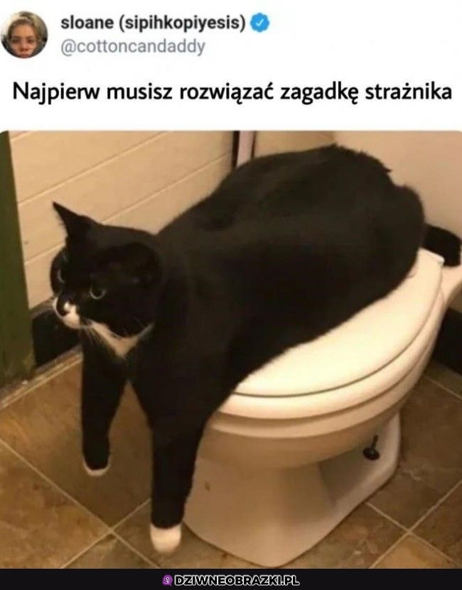 Najpierw zagadka