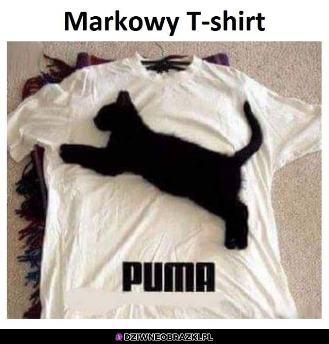 Markowy