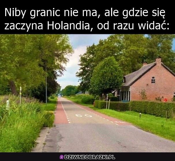 I cyk, jesteś w Holandii