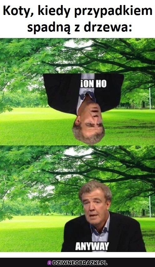 Ten moment