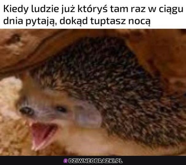 Nie wasza sprawa!
