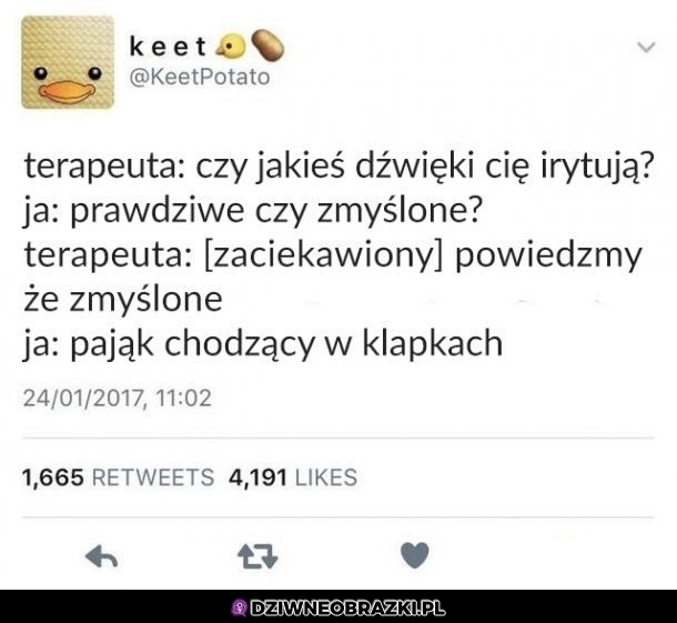 Dźwięki