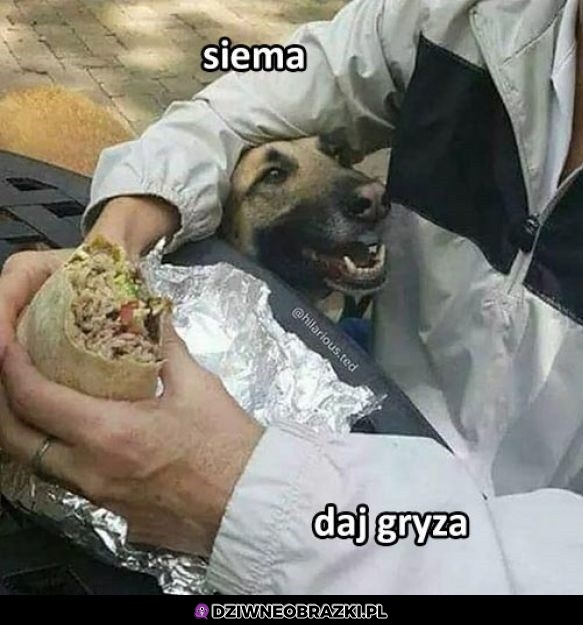Cześć człowiek