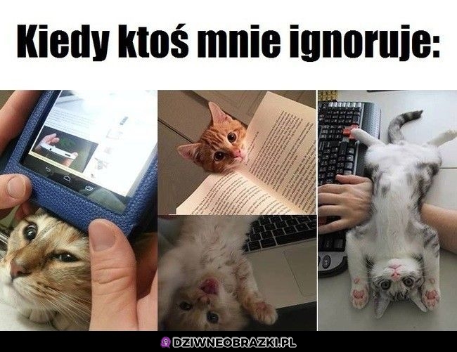 Kiedy ktoś mnie ignoruje
