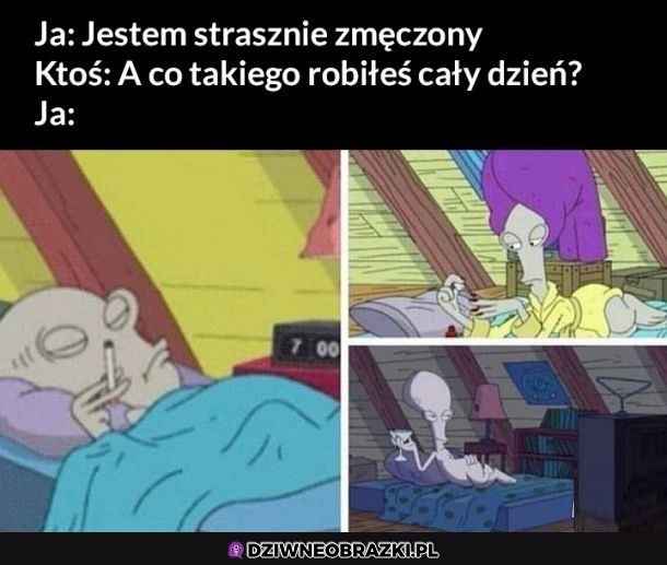 Męczące zajęcia