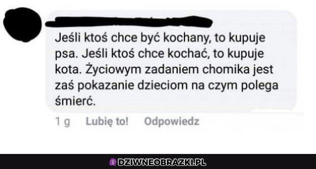 Taka rola chomiczka