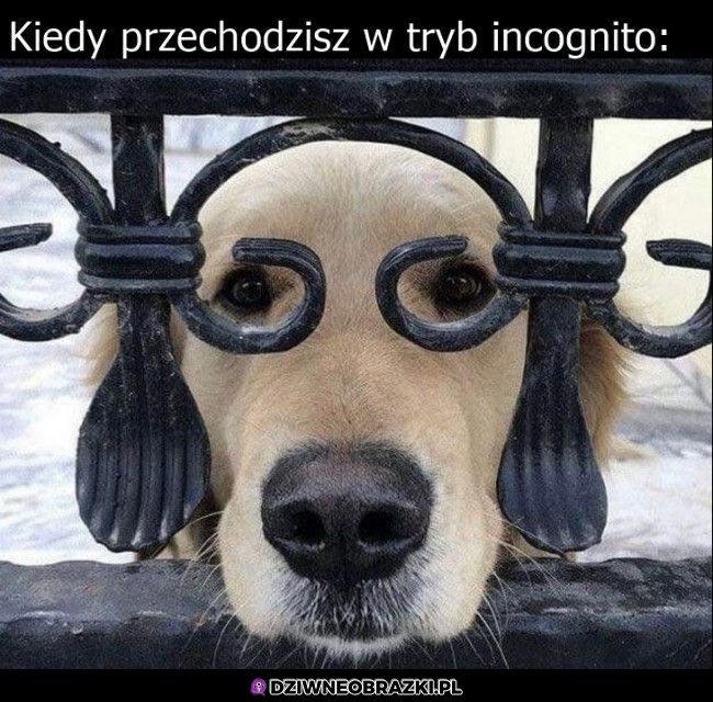 Incognito