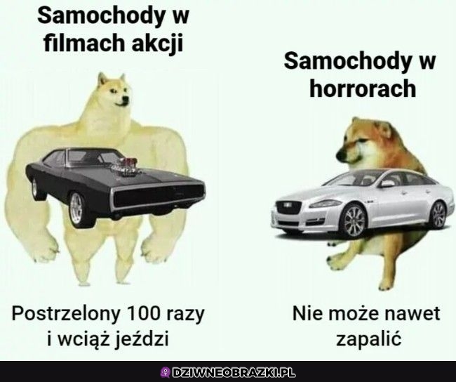 Dwa oblicza Dwa oblicza