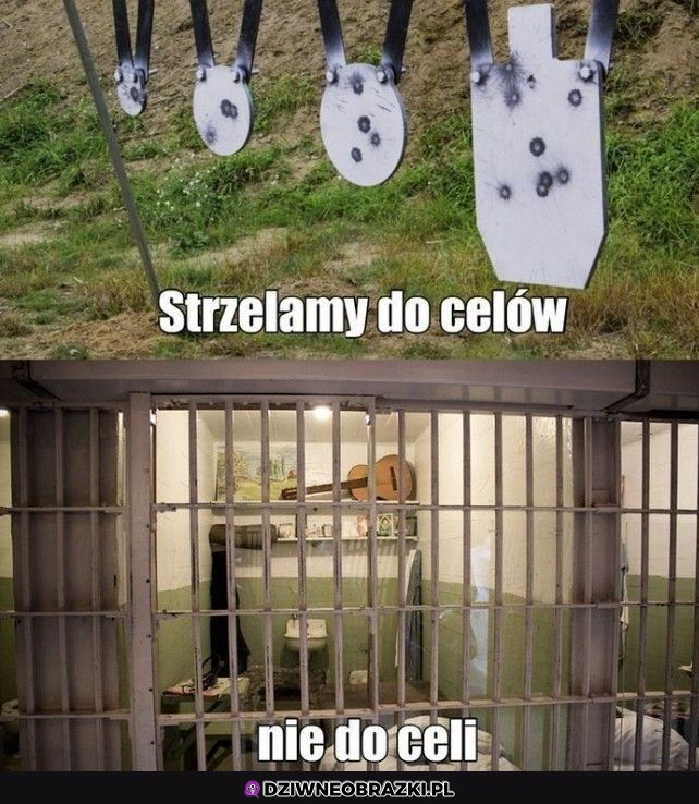 Dokąd strzelamy?