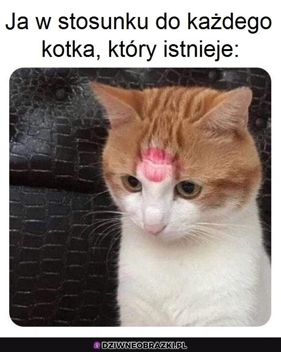 Najlepsze podejście